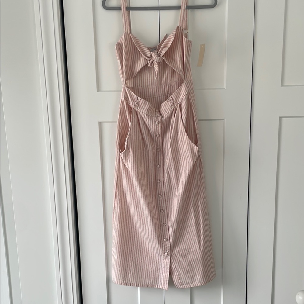 Flynn Skye Pinstripe Dress